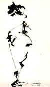 Figura_Humana.jpg (8939 bytes)