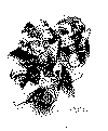 pacto_.gif (7276 bytes)