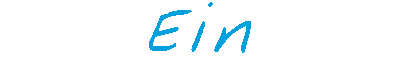 EinLogo