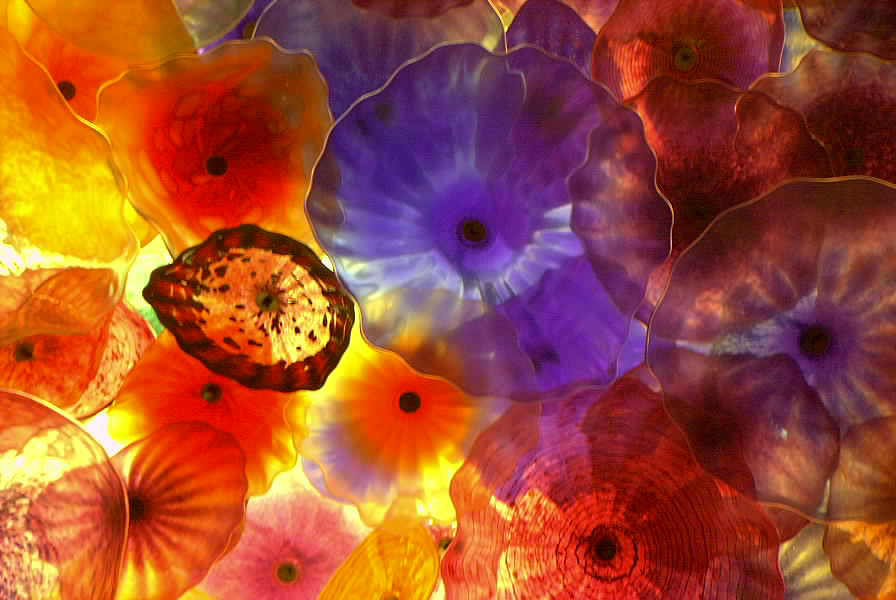 Picture of Flowers