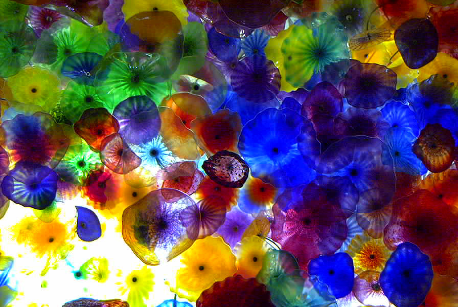 Picture of Flowers