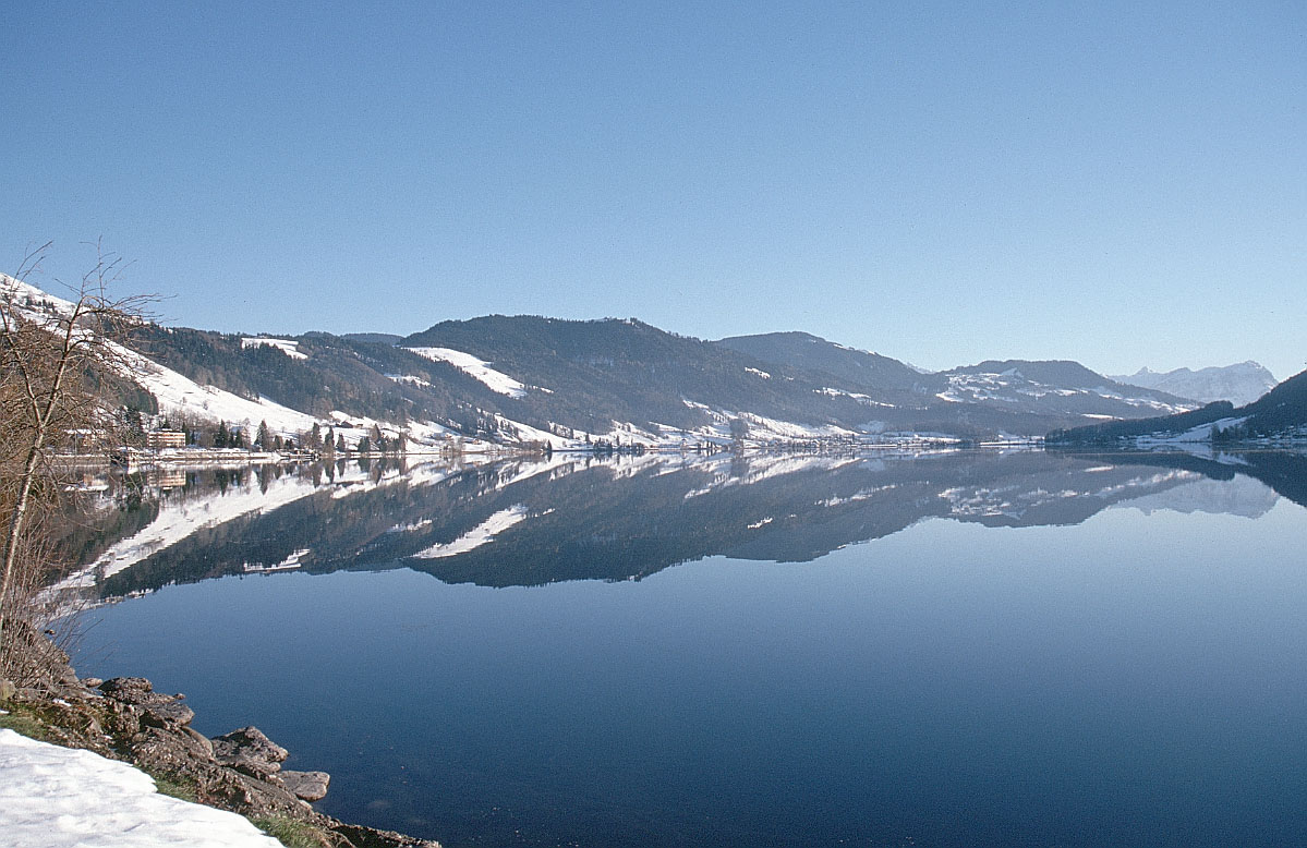 Picture of Lake