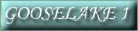 links button