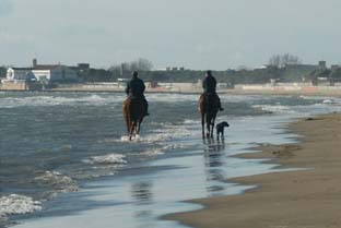 am Meer