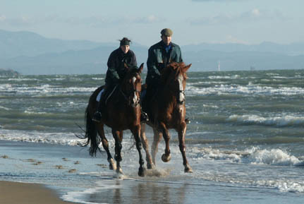 im Galopp am Strand