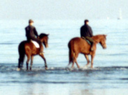 im Meer