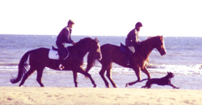 am Strand