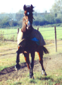 beim Toben