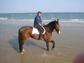 am Strand