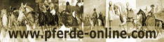 Auf pferde-online finden Sie alles rund ums Pferd. Bei uns ist jeder Reitsportbegeisterte willkommen, egal ob Dressur, Springen, Western, Vielseitigkeit oder einer anderen Reitweise angeh�rend