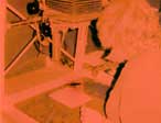 In The Darkroom