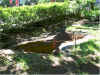 the hole in the ground