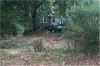 our neglected yard