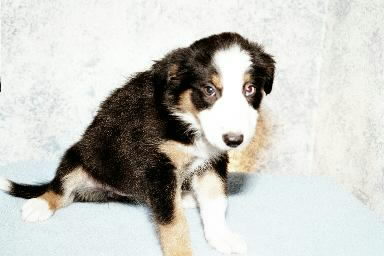 [Click to enlarge]