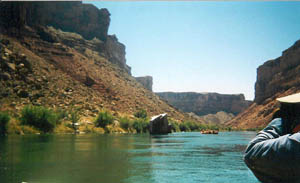 Kaibab