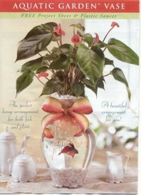 betta vase