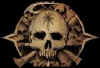 The Skull.jpg (4979 bytes)
