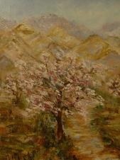 paisaje07