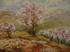 paisaje09