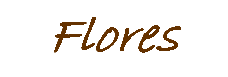 Cuadros de flores
