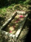 makam Nya Sembar, ianfu dari P.Buru