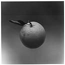 fruit-1