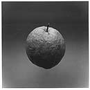 fruit-2