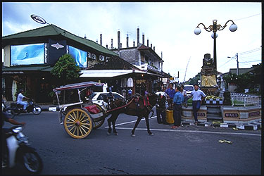 horse