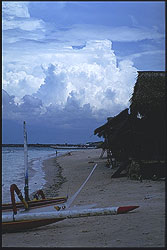 bay
