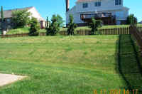 Backyard Away from House