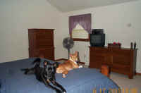 Master Bedroom from Side.