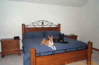 Master Bedroom from straight on