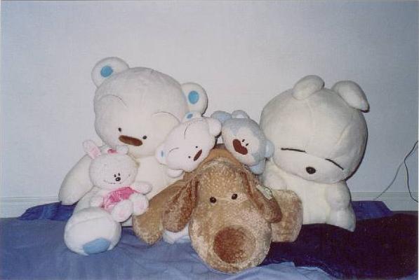 The Gang...Beware --> they come out to play at night!!!
