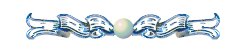 divider5.jpg - 3734 Bytes