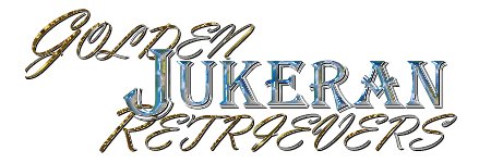 juk4.jpg - 20438 Bytes