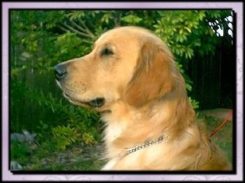 tarka.jpg - 21736 Bytes