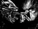 Aliens VS Predater
