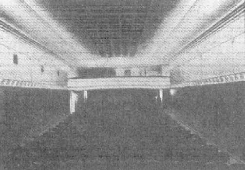 Apollon sali