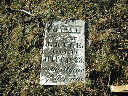 Sarah Kyle