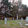 Calvary Cemetery Thumb