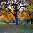 Calvary Cemetery