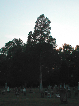 East Fork Cemetery