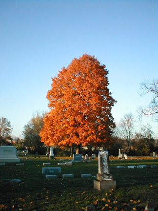 Greenlawn Cemetery