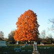 Greenlawn Cemetery