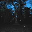 Spring Grove Cemetery