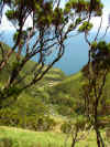 Vue sur Caldeira de Cima