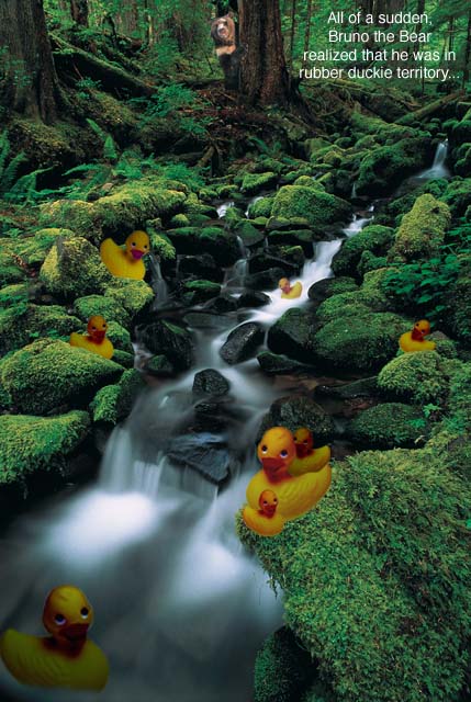 Beware the duckies...