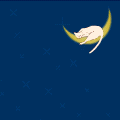 click to display the flash animation