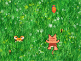 click to display the flash animation