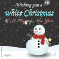 click to display the flash animation